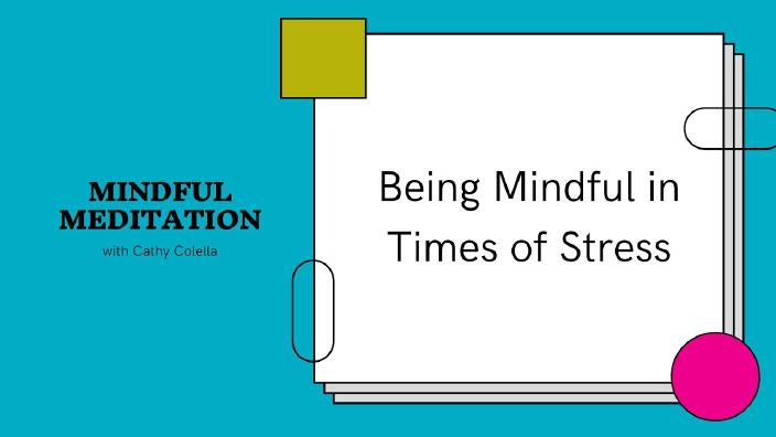 Being Mindful in Times of Stress Screenshot